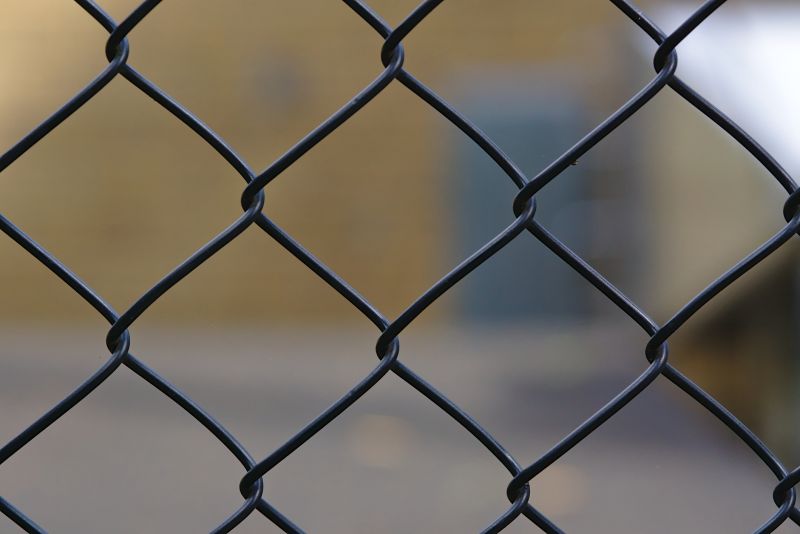 Chain Link Fence Painting