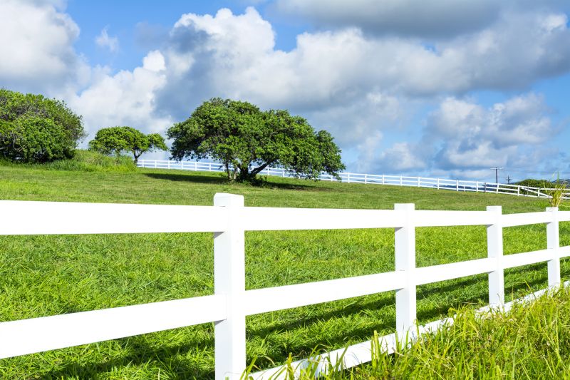 Best Fence Painting Contractors in Hastings, MN