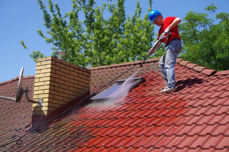 Roof Painting Service